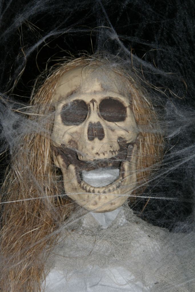 Deko-Sarg "Rocky Horror Picture Show"  Requisite, Filmdeko